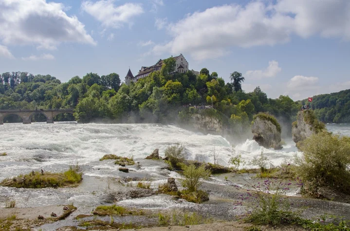 Weed in Schaffhausen